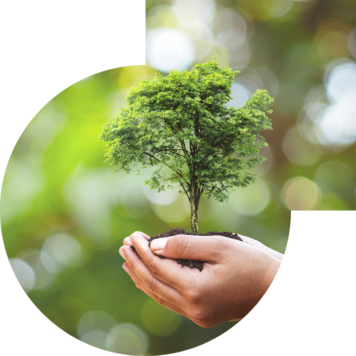 关怀人类、文化、环境与社会